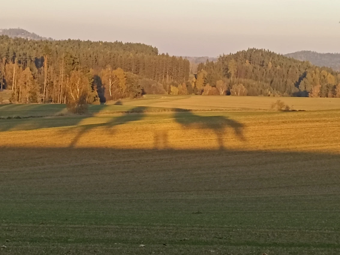 Víkendový somatický workshop (uzavřená skupina)