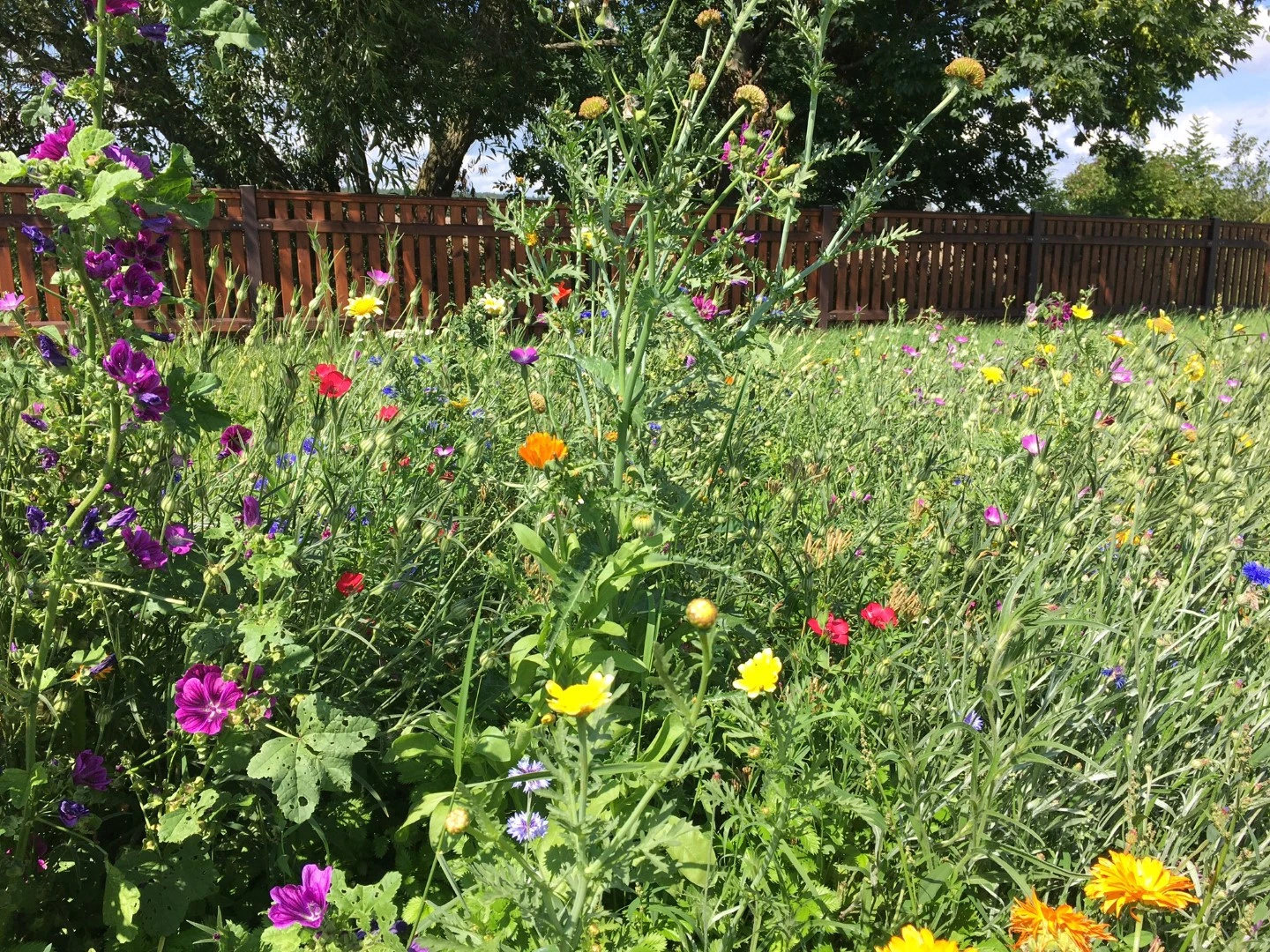 Prostor pro vnitřní klid